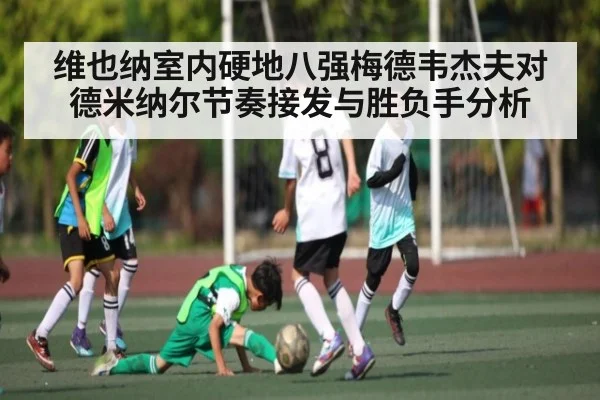 维也纳室内硬地八强梅德韦杰夫对德米纳尔节奏接发与胜负手分析