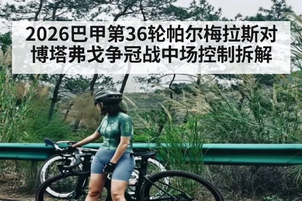 2026巴甲第36轮帕尔梅拉斯对博塔弗戈争冠战中场控制拆解